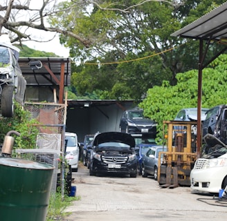 An outdoor area filled with cars, some stacked on top of each other, indicating a car junkyard or repair facility. Vehicles appear in various states of disassembly, with an open hood on the black car in the middle. A forklift is visible near the right, surrounded by green foliage and trees.